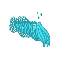 Cuttlefish Cuttle Sticker by Fin Pin Shop
