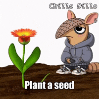 GIF by Chillo Dillo