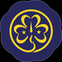 World Conference Woco GIF by World Association of Girl Guides and Girl Scouts