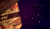 andrew lloyd webber cat GIF by Maudit