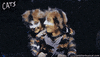 Hell Yeah Yes GIF by Cats the Musical
