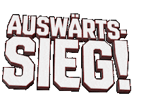 Sieg Halle Sticker by Saale Bulls