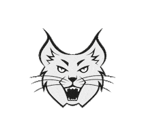 Perth Lynx Sticker by Perth Wildcats