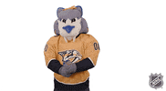Celebrate Ice Hockey GIF by NHL