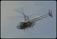 Ysl GIF by Gunna