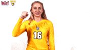 The Valley Mvc GIF by Missouri Valley Conference
