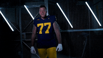Go Blue Michigan Football GIF by Michigan Athletics