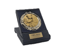 Gold Winner Sticker by Grün-Gold TTC Herford e.V.