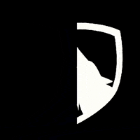 TransformPT workout black and white training wolf GIF