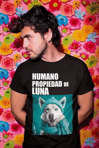 dogmenation moda ropa husky perros GIF