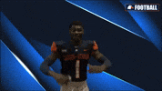 Cnfb GIF by Carson-Newman Athletics