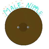 Piercing Free The Nipple Sticker