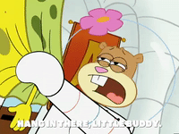 season 5 GIF by SpongeBob SquarePants