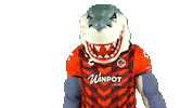liga mx no Sticker by Tiburones Rojos