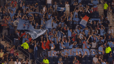 goal celebration GIF by NYCFC