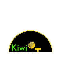 Sunshine Kiwi Sticker by megatan
