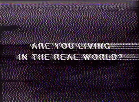 glitch art GIF by GLITCHED MEMORIES