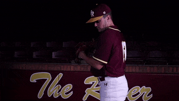 PRCCAthletics wildcats mississippi juco prcc GIF
