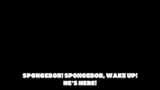 season 9 GIF by SpongeBob SquarePants