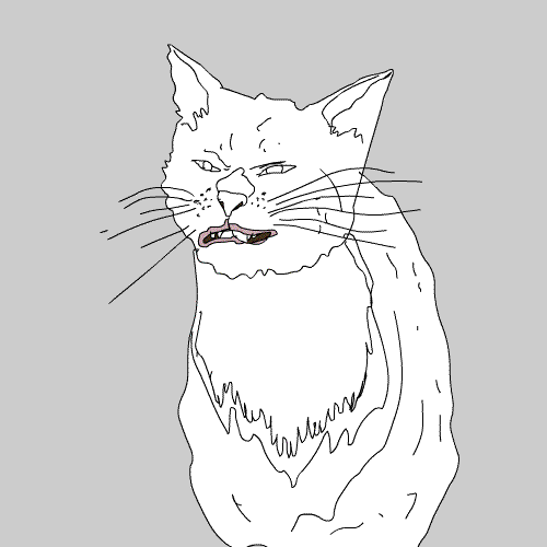 Cat Lol GIF by Animation Domination High-Def