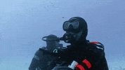 will smith swimming GIF by Will Smith's Bucket List