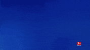 Happy Tsg Hoffenheim GIF by Bundesliga