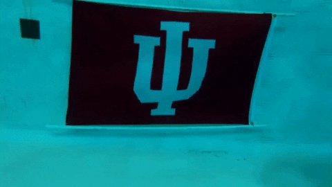 Indiana Hoosiers Iu GIF by Indiana University Bloomington