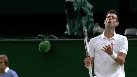 tennis djokovic GIF by Wimbledon