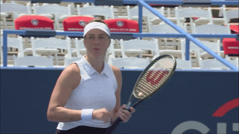Pavlyuchenkova GIF