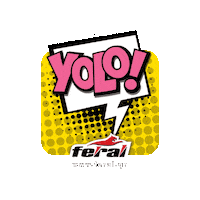 feralgr yolo carcare feral carcareproducts Sticker