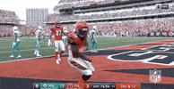 2018 Nfl Football GIF by NFL