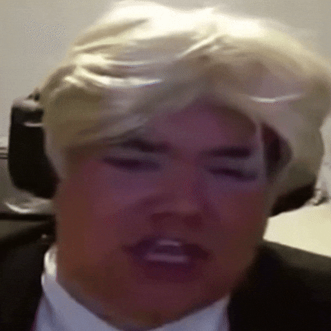 Trump Memes GIF