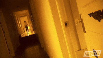Door Slams