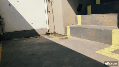 Matildamy giphyupload GIF