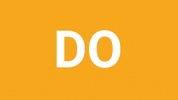 bdhcollective best bdh collective do be GIF