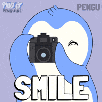 Penguin Smile GIF by Pudgy Penguins