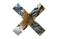 the xx lion STICKER