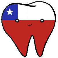 Flag Smile Sticker