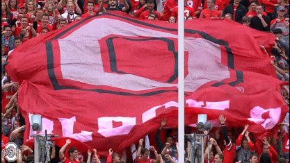 ncaa sports GIF by Ohio State Athletics