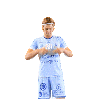 cchartresmhb sport handball balonmano lnh Sticker