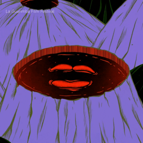 Art Love GIF by La Guarimba Film Festival