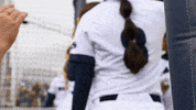 NevadaWolfPack happy dancing celebration softball GIF