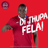 south african soccer GIF