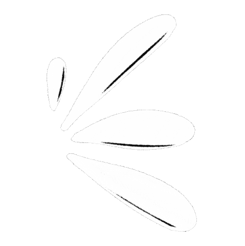 Branco Linhas Sticker