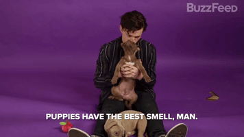 The Best Smell