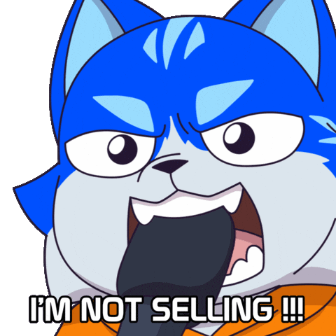 Jordan Belfort Cat GIF by Toshithecat