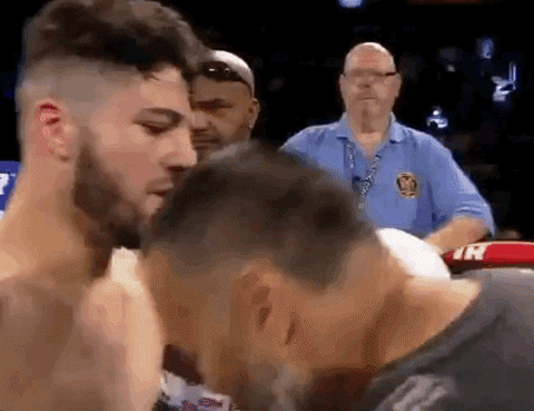 toprank giphyupload fight boxing fighting GIF