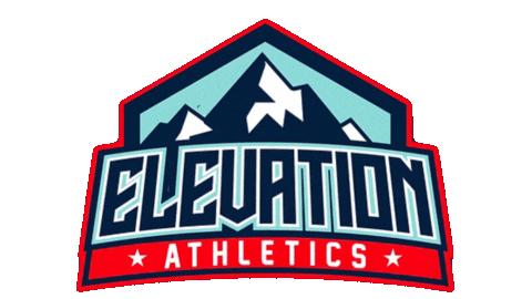 Elevation Sticker by COTREofficial