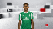 Werder Bremen Wow GIF by Bundesliga