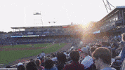 GIF by Nashville Sounds